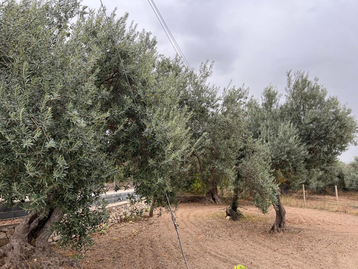 לינה וארוחת בוקר קיארמונטה גולפי Casa Di Mirto מראה חיצוני תמונה